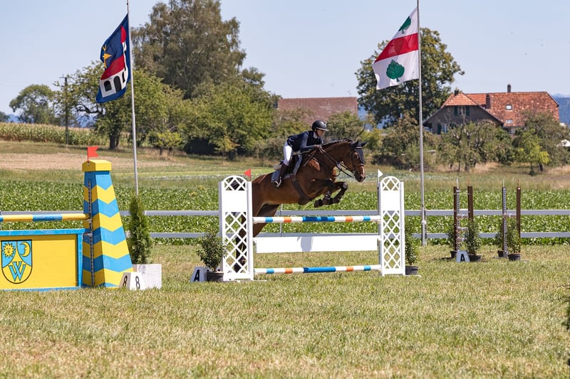 Overcoming Obstacles